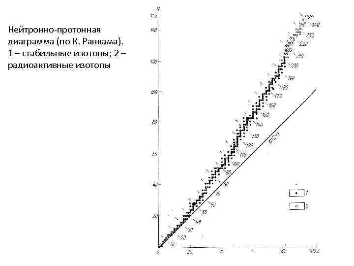 Нейтронно-протонная диаграмма (по К. Ранкама). 1 – стабильные изотопы; 2 – радиоактивные изотопы 