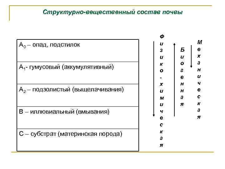 Структурно-вещественный состав почвы А 0 – опад, подстилок А 1 - гумусовый (аккумулятивный) А