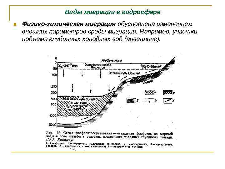 Виды миграции в гидросфере n Физико-химическая миграция обусловлена изменением внешних параметров среды миграции. Например,