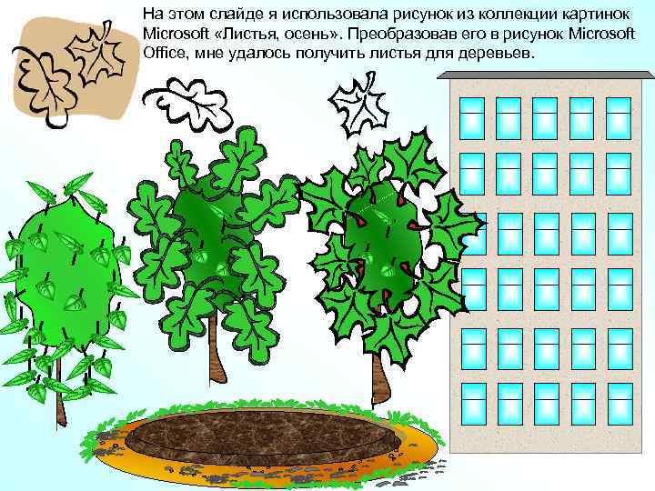 На этом слайде я использовала рисунок из коллекции картинок Microsoft «Листья, осень» . Преобразовав