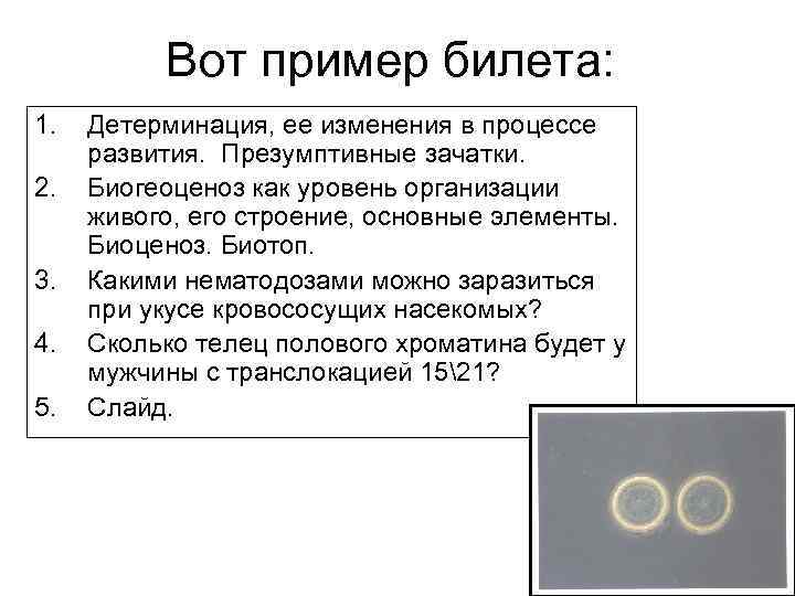 Вот пример билета: 1. 2. 3. 4. 5. Детерминация, ее изменения в процессе развития.