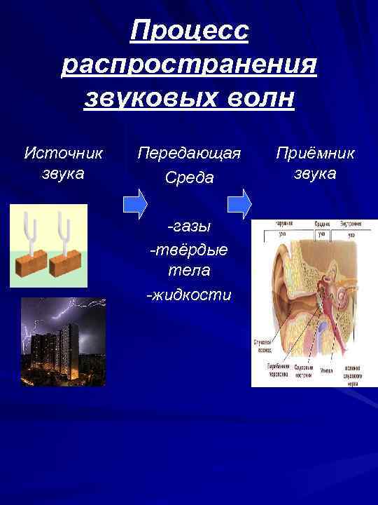  Процесс распространения звуковых волн Источник Передающая Приёмник звука Среда звука -газы -твёрдые тела