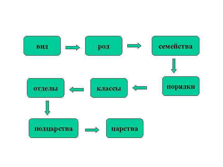 вид отделы подцарства род семейства классы царства порядки 