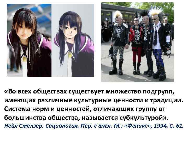  «Во всех обществах существует множество подгрупп, имеющих различные культурные ценности и традиции. Система