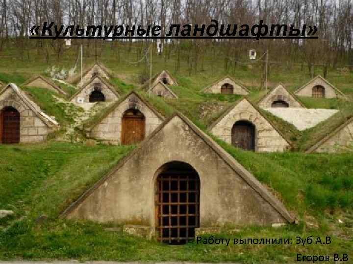  «Культурные ландшафты»   Работу выполнили: Зуб А. В    
