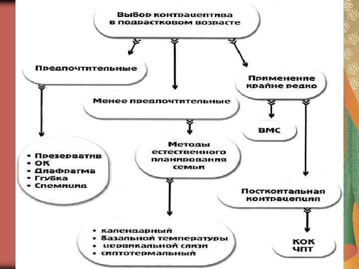  Презентацию выполнили: Лущик Наталья и Савенок Марина Преподаватель: Горевая С. А. 