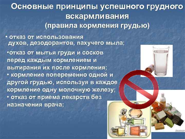 Основные принципы успешного грудного вскармливания (правила кормления грудью) • отказ Основные принципы успешного грудного вскармливания (правила кормления грудью) • отказ