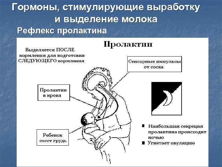 Позы после кормления новорожденного