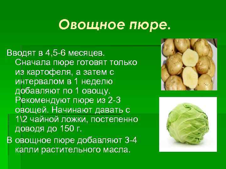 Овощное пюре. Вводят в 4, 5 -6 месяцев. Сначала пюре готовят только из картофеля,