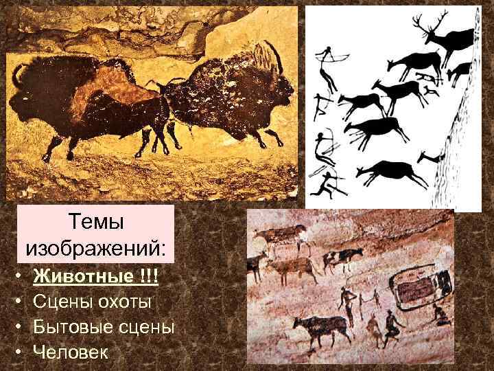 Темы изображений: • • Животные !!! Сцены охоты Бытовые сцены Человек 