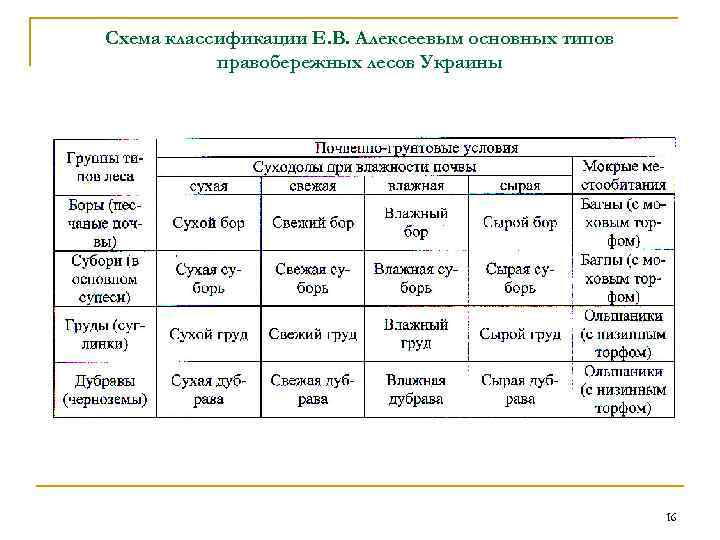 Идем по лесу тип предложения