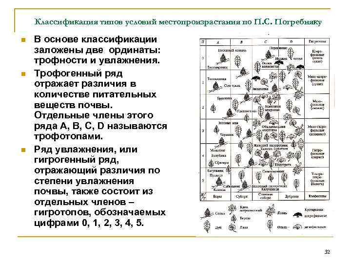 Классификация типов условий местопроизрастания по П. С. Погребняку n n n В основе классификации