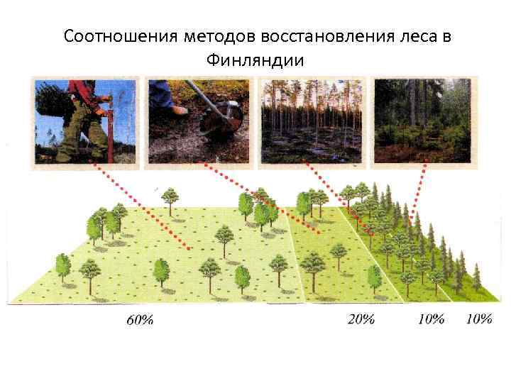 Соотношения методов восстановления леса в Финляндии 