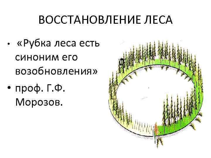 ВОССТАНОВЛЕНИЕ ЛЕСА «Рубка леса есть синоним его возобновления» • проф. Г. Ф. Морозов. •