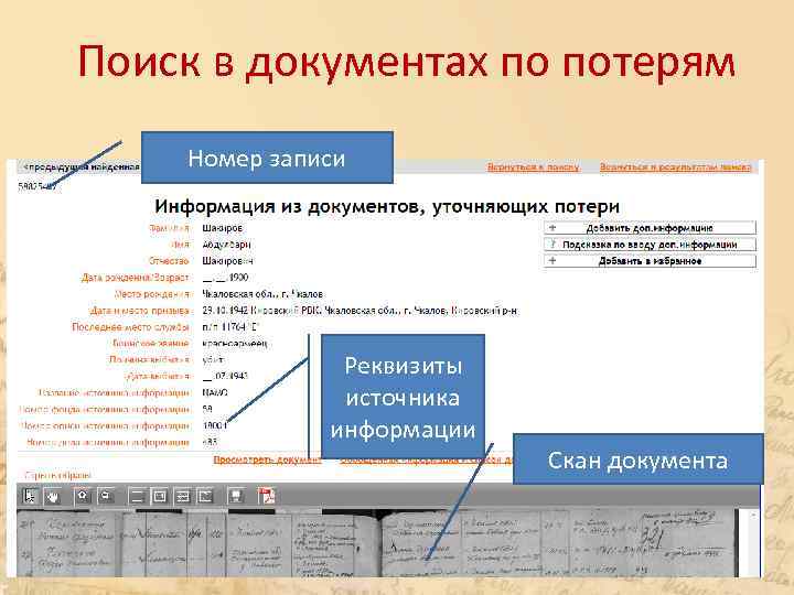 Поиск в документах по потерям Номер записи Реквизиты источника информации Скан документа 