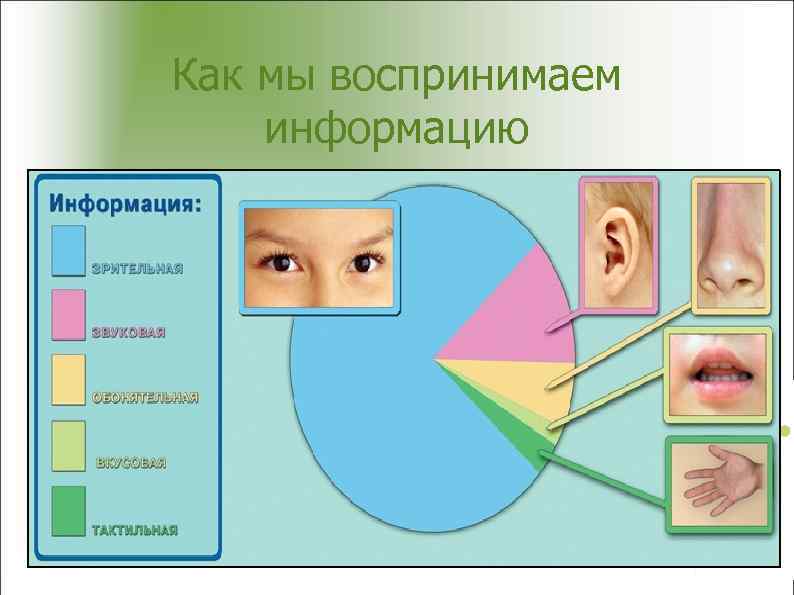 Как мы воспринимаем информацию 