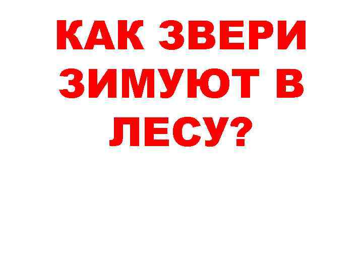 КАК ЗВЕРИ ЗИМУЮТ В ЛЕСУ? 