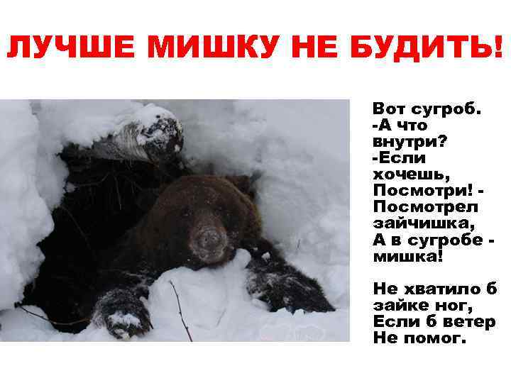 ЛУЧШЕ МИШКУ НЕ БУДИТЬ! Вот сугроб. -А что внутри? -Если хочешь, Посмотри! Посмотрел зайчишка,