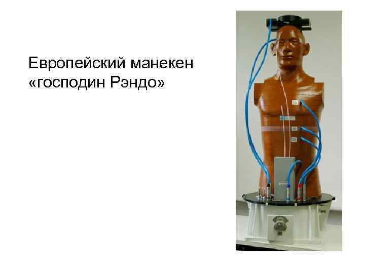 Европейский манекен «господин Рэндо» 