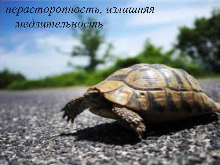 нерасторопность, излишняя медлительность 