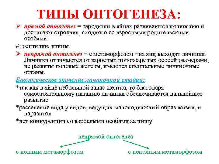 ТИПЫ ОНТОГЕНЕЗА: Ø прямой онтогенез = зародыши в яйцах развиваются полностью и достигают строения,