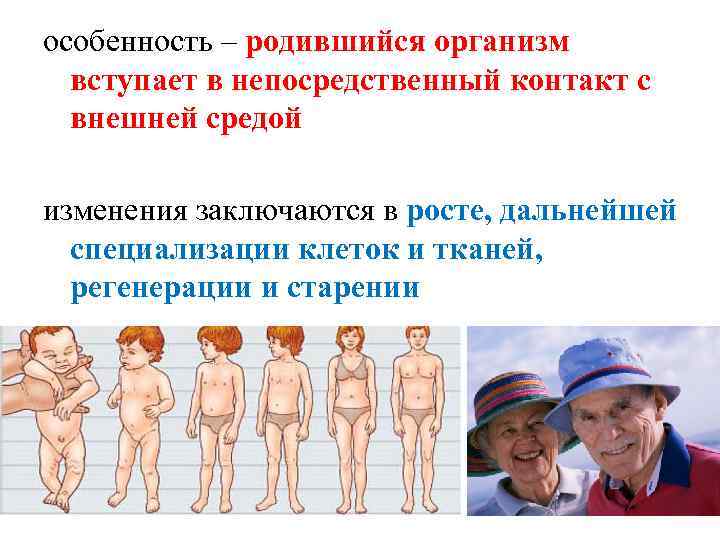 особенность – родившийся организм вступает в непосредственный контакт с внешней средой изменения заключаются в