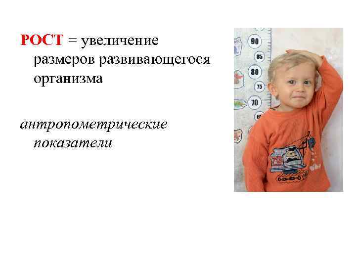 РОСТ = увеличение размеров развивающегося организма антропометрические показатели 
