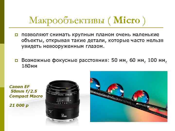 Макрообъективы ( Micro ) p позволяют снимать крупным планом очень маленькие объекты, открывая такие