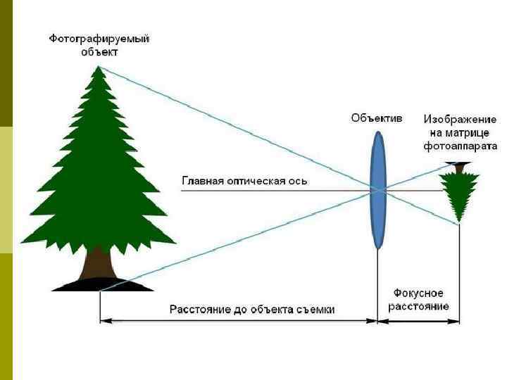  Все объективы можно разделить на две    основных категории: p 