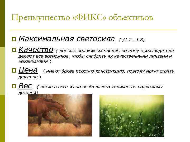 Сверхширокоугольные объективы 