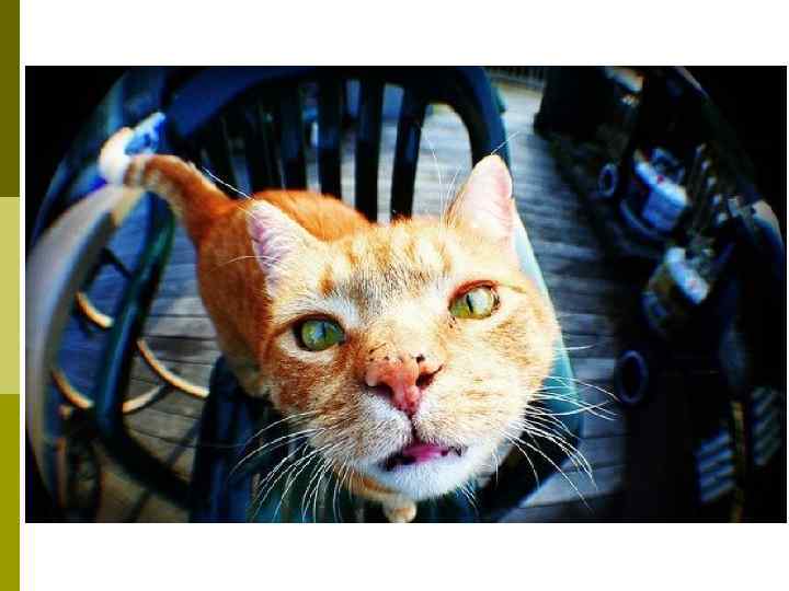 Изображение, приближенное к тому, что видит человеческий     глаз 