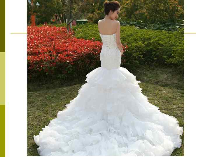 БЛЕНДА – насадка, которая крепится на передней части объектива и   выступает на