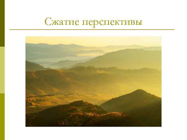      Автофокус –   важная характеристика объектива p 