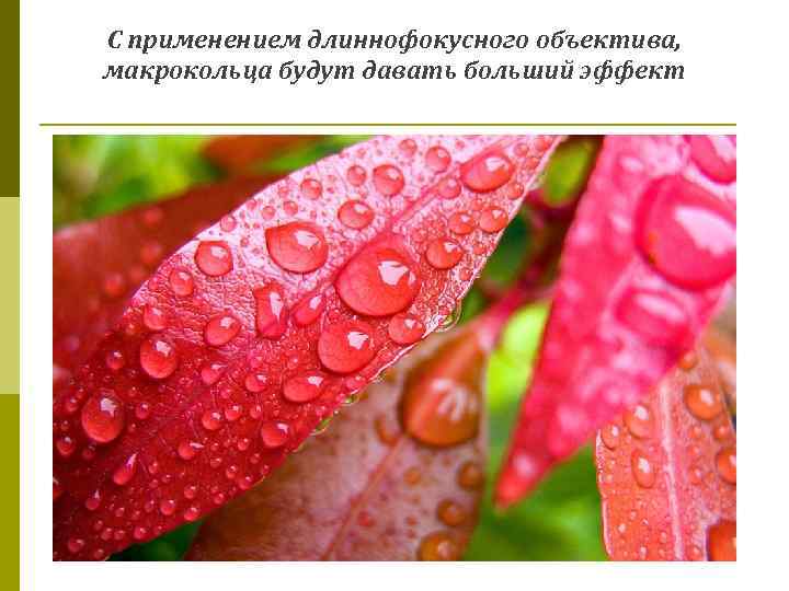 С применением длиннофокусного объектива, макрокольца будут давать больший эффект 