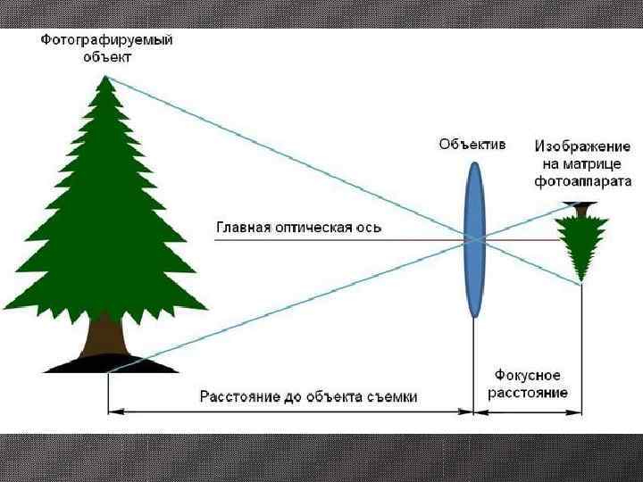  Все объективы можно разделить  на две основных категории :  • объективы