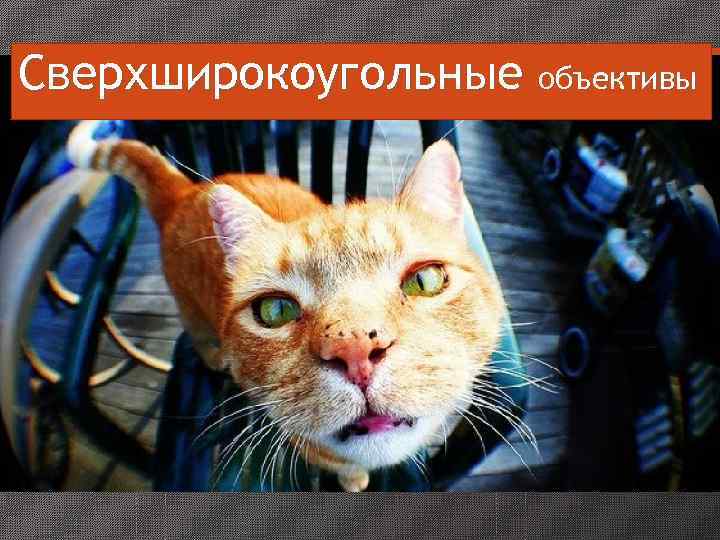  Особенности:  •  подчеркивают перспективу пространства в  кадре  • визуально