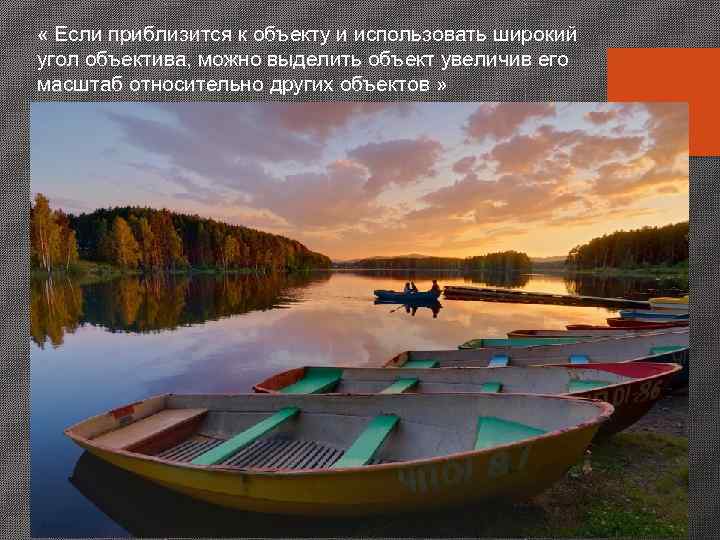  Макросъемка на Никон Д 800 с макрообъективом Никкор 105/2, 8 