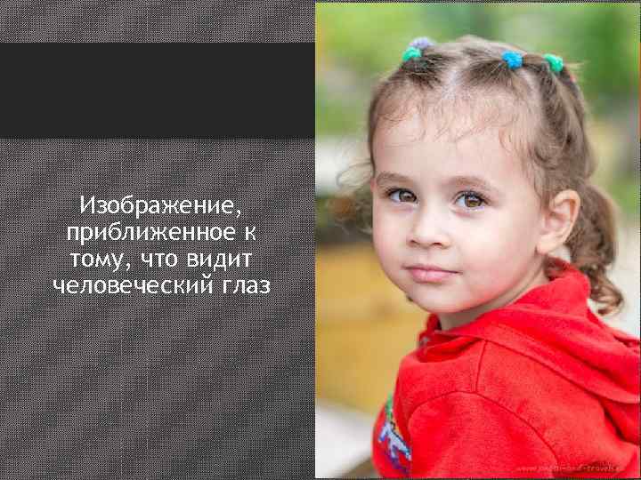    Макролинза  • Оптическая сила макролинз измеряется в диоптриях  (+1,