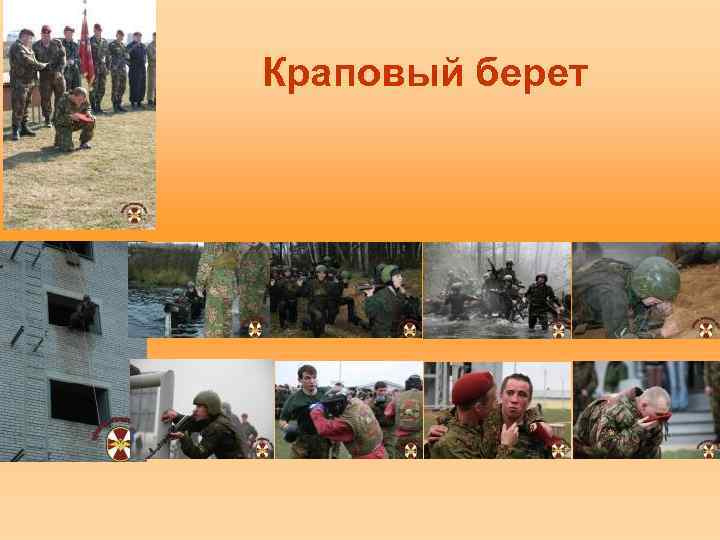 Краповый берет 