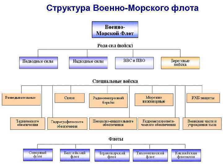 Структура Военно-Морского флота 