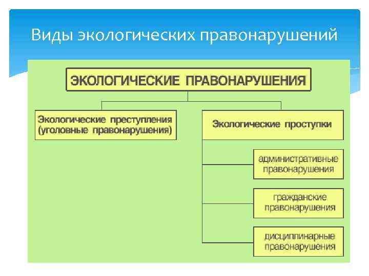 Виды экологических правонарушений 