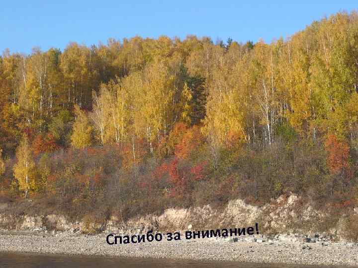 бо за внимание! Спаси 