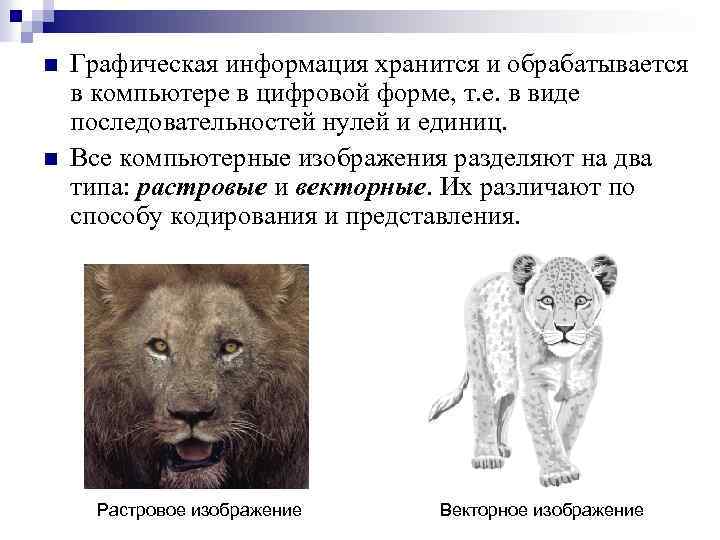 n n Графическая информация хранится и обрабатывается в компьютере в цифровой форме, т. е.