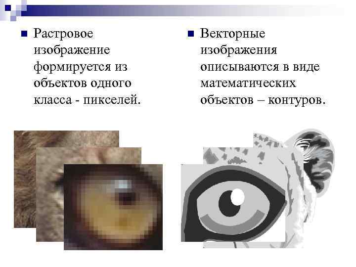 Векторные изображения формируются из