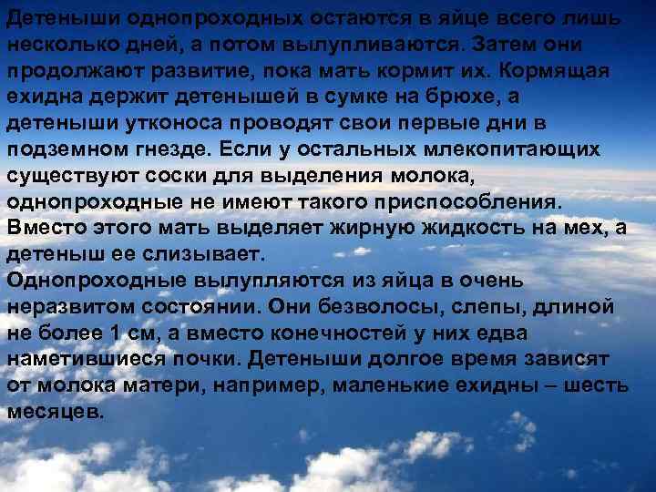 Детеныши однопроходных остаются в яйце всего лишь несколько дней, а потом вылупливаются. Затем они
