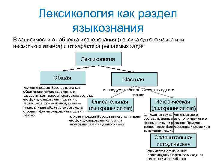 Аккомодация это в языкознании. Лексика как раздел языкознания. Лексикология как раздел языкознания. Разделы лексикологии Языкознание. Лексикология общая и частная описательная и историческая.