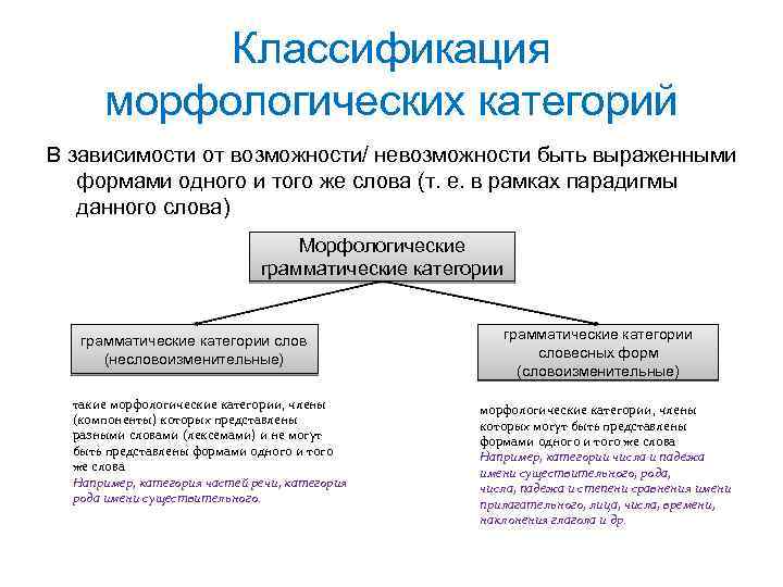 Морфологическая классификация