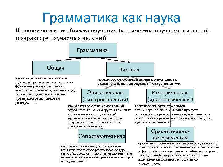 Случаи сходства грамматических форм