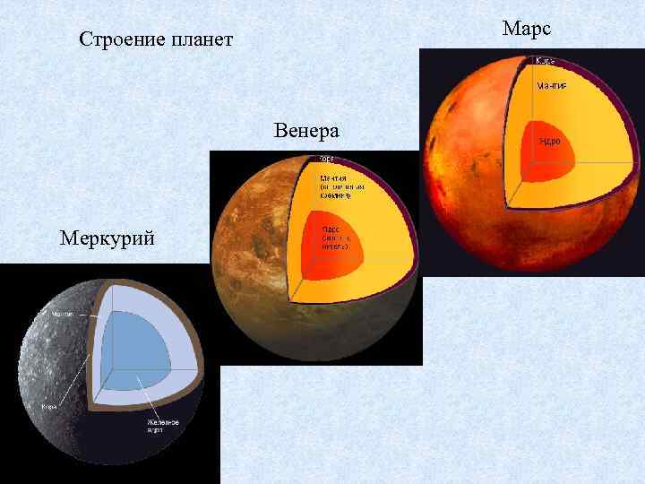  Марс Строение планет Венера Меркурий 