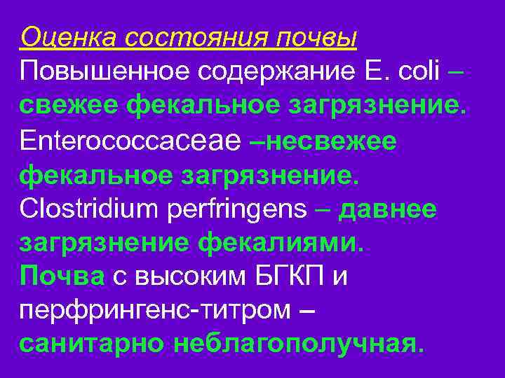 Оценка состояния почвы Повышенное содержание E. сoli – свежее фекальное загрязнение. Enterococcaceae –несвежее фекальное